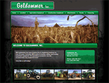 Tablet Screenshot of goldammerinc.com